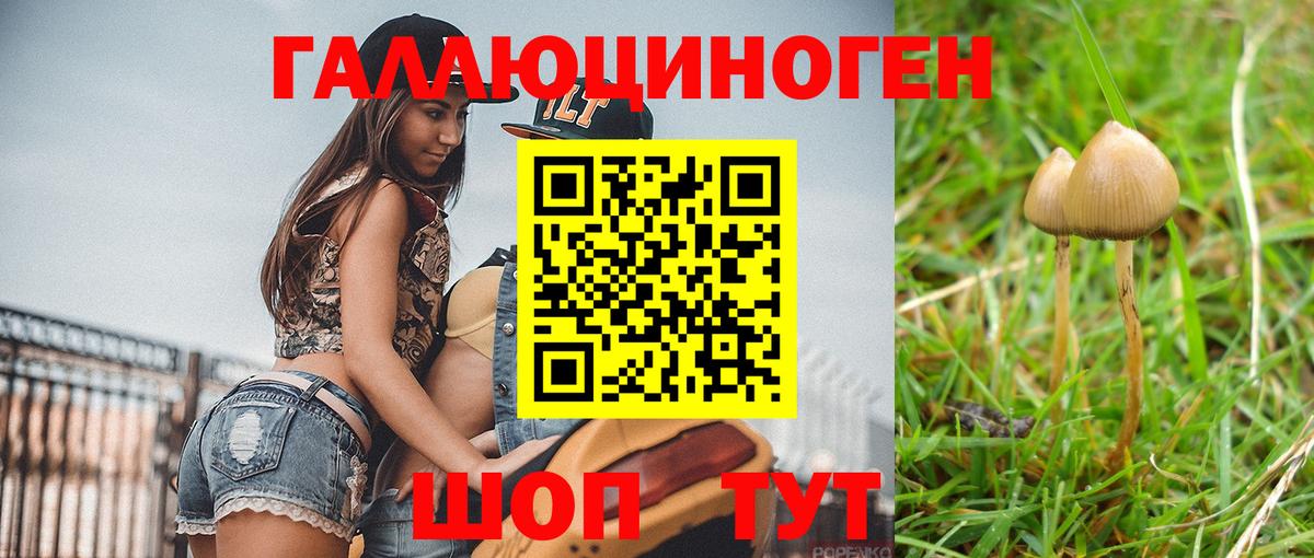 Псилоцибиновые грибы MAGIC MUSHROOMS Жигулёвск